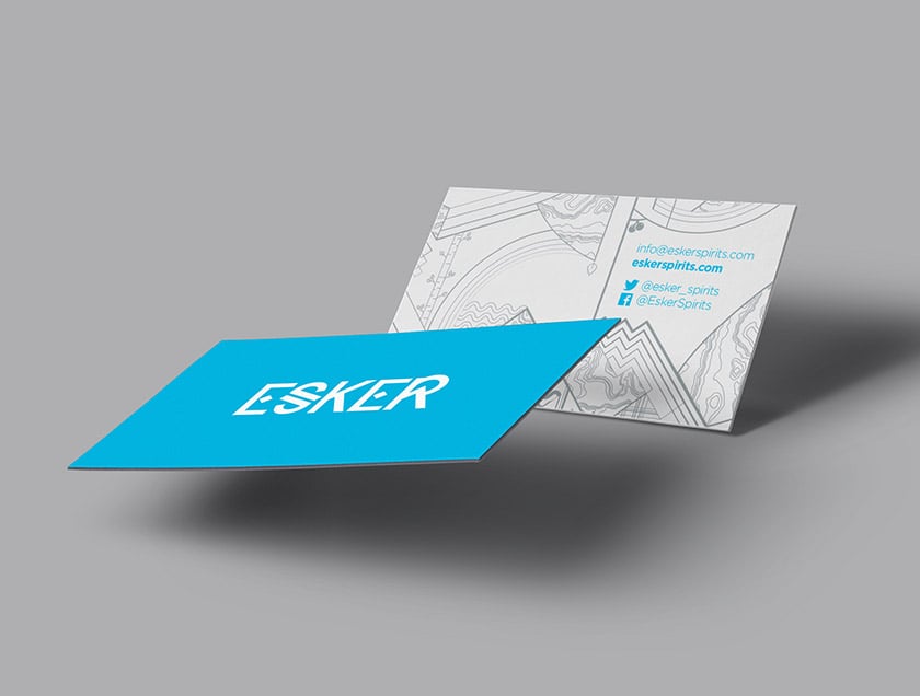 esker-bus-card-mockup-3